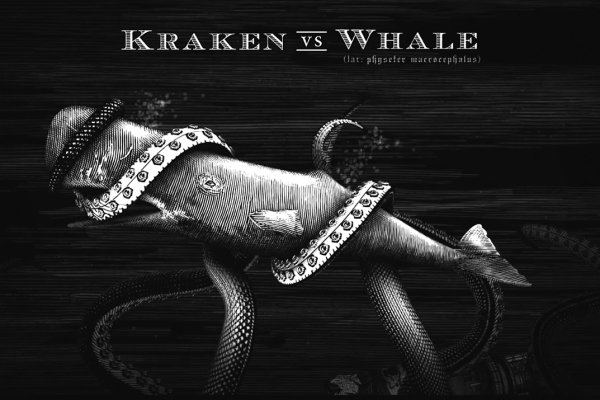 Как вывести деньги с kraken