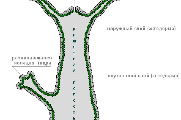 Кракен невозможно зарегистрировать пользователя